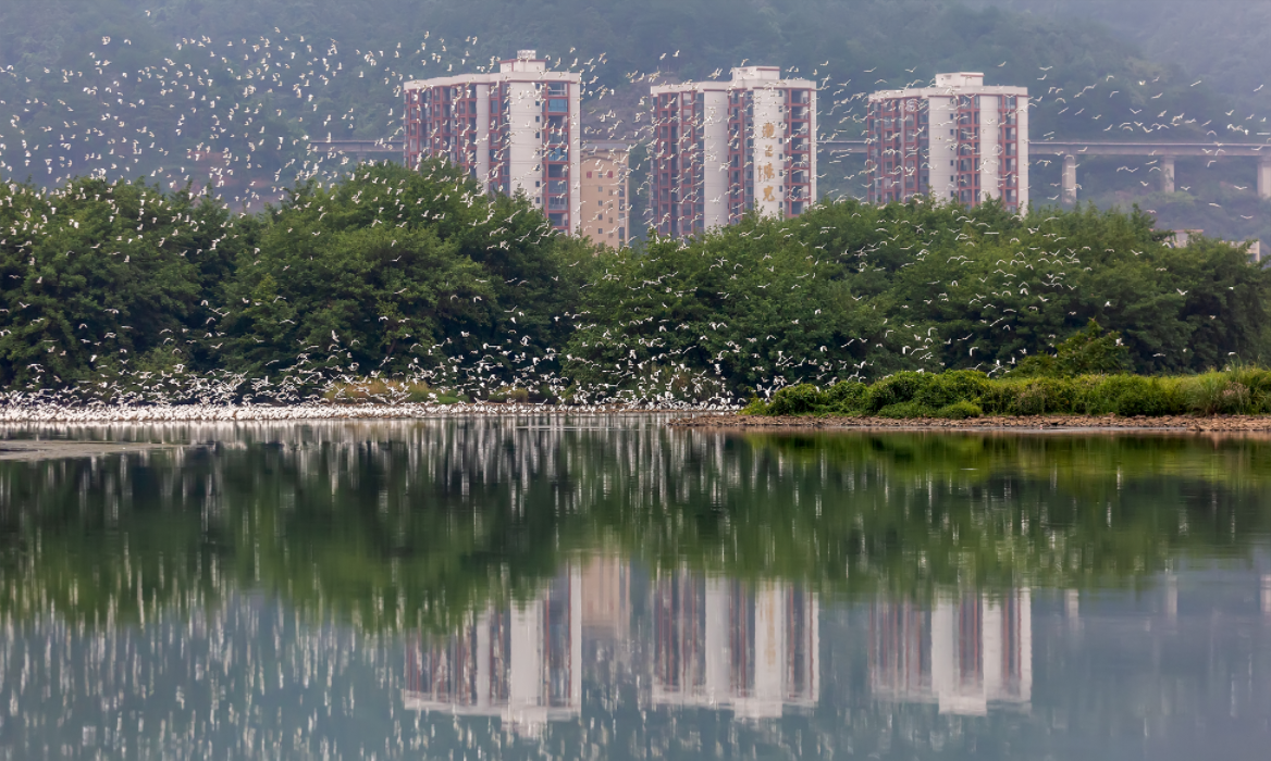 微信截圖_20220507140056.png