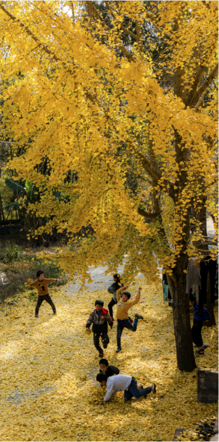 微信截圖_20220507143613.png