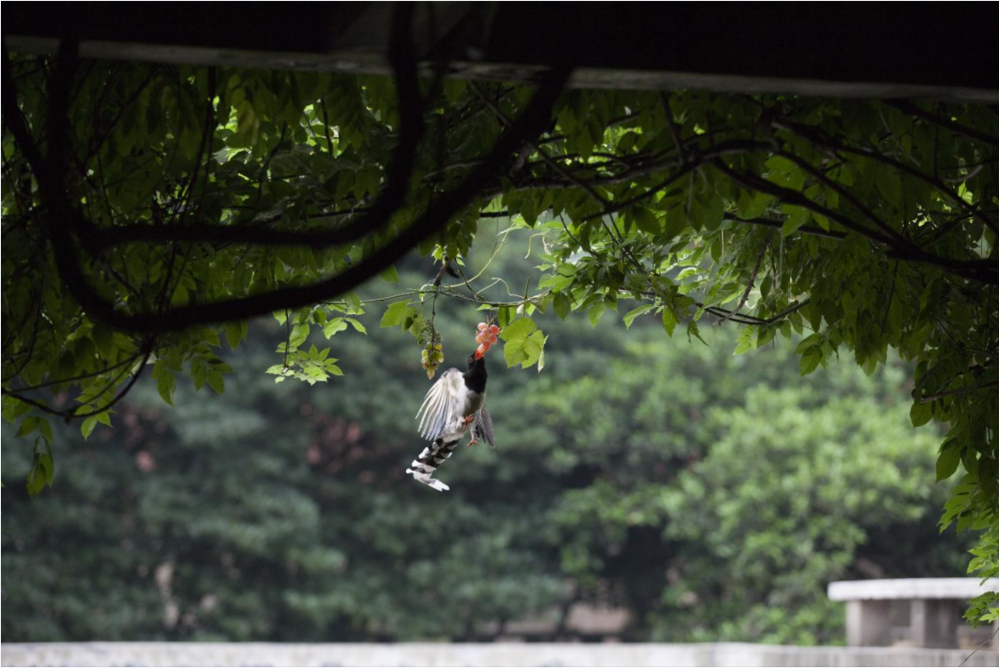 微信截圖_20220508091317.png