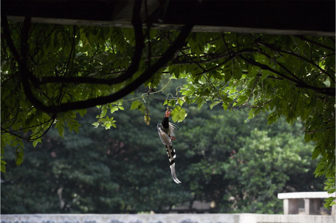 微信截圖_20220508091441.png