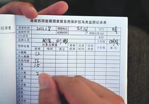 1.29候鳥(niǎo)2.jpg