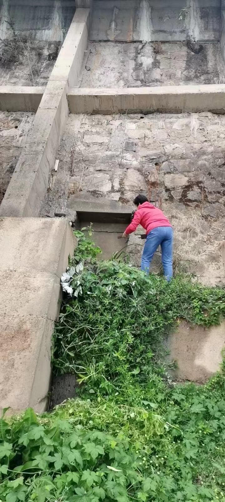1675416898316034707.jpg
