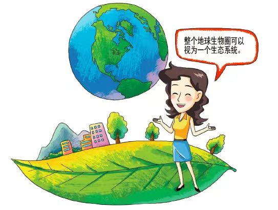 11.3生態(tài)系統1.jpg