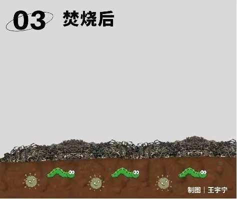 11.14秸稈4.jpg