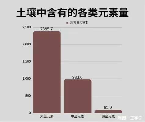 11.14秸稈5.jpg
