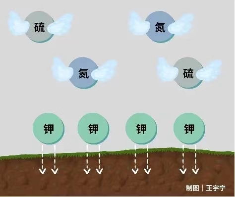 11.14秸稈6.jpg