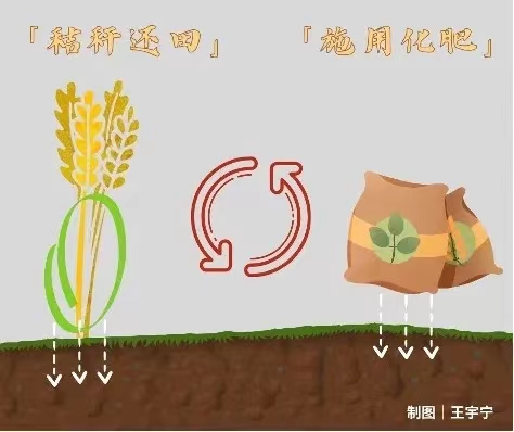 11.14秸稈7.jpg
