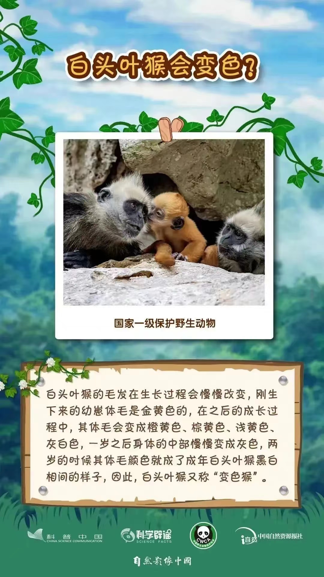 3.4野生動(dòng)植物日3.jpg