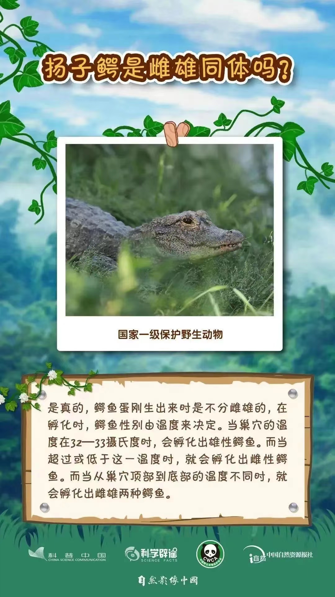 3.4野生動(dòng)植物日5.jpg