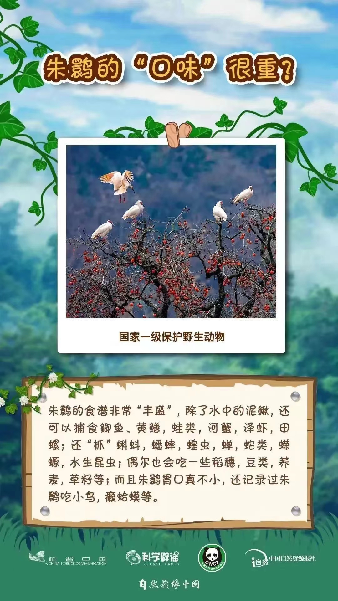 3.4野生動(dòng)植物日6.jpg