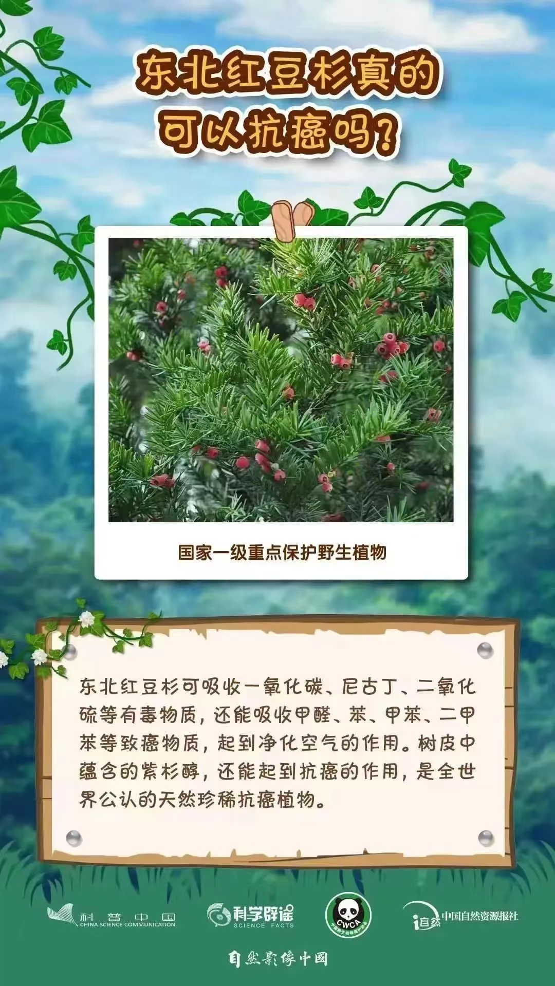 3.4野生動(dòng)植物日7.jpg