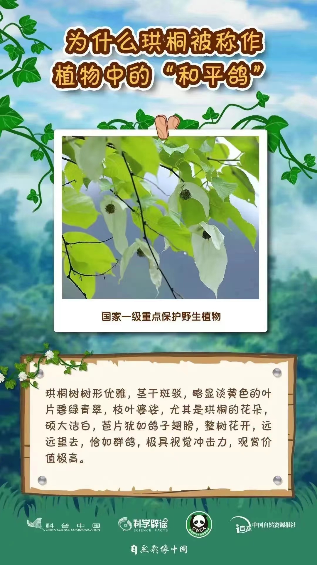 3.4野生動(dòng)植物日8.jpg