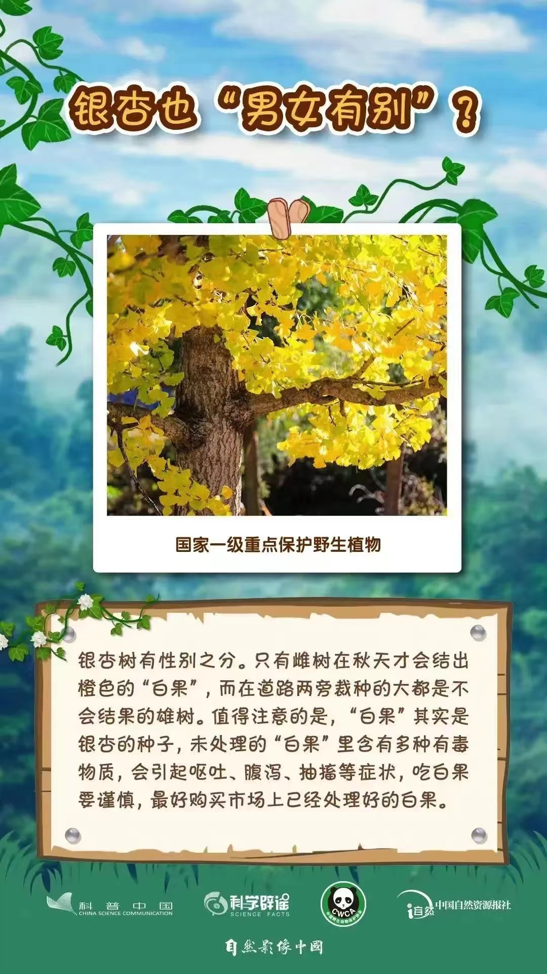 3.4野生動(dòng)植物日9.jpg
