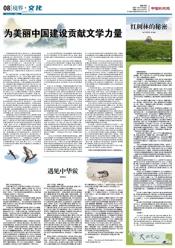 6.19生態(tài)文化.jpg